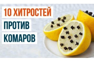 10 способов борьбы с комарами и их укусами
