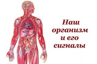 Наш организм и его сигналы